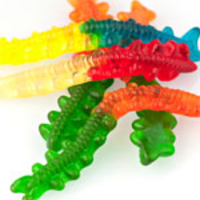 Novelty Candy